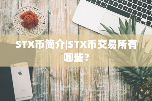 STX币简介|STX币交易所有哪些？